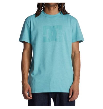 DC Star Pigment T-Shirt