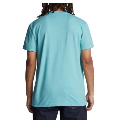 DC Star Pigment T-Shirt