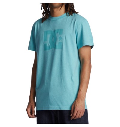 DC Star Pigment T-Shirt