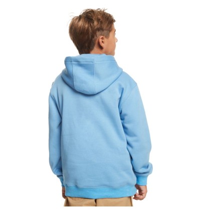 Sudadera Quiksilver Big...