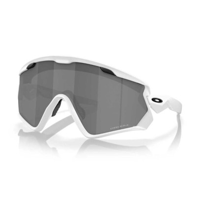 Gafas Oakley Wind Jacket...