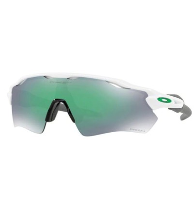 Gafas Oakley Padar EV Path...