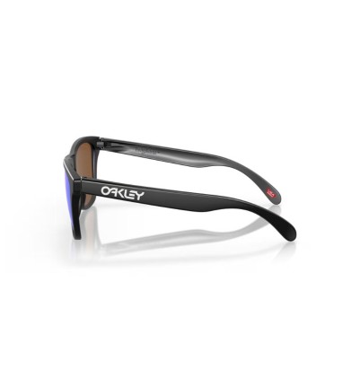Gafas Oakley Frogskins S...