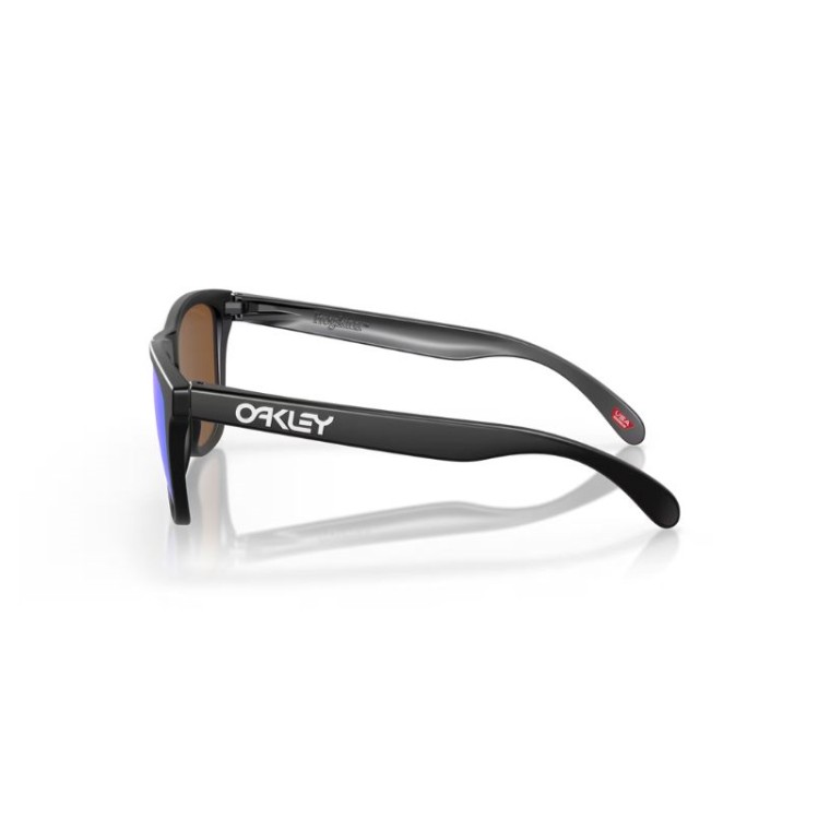 Gafas Oakley Frogskins S...