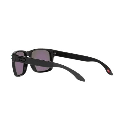 Gafas Oakley Holbrook matte...
