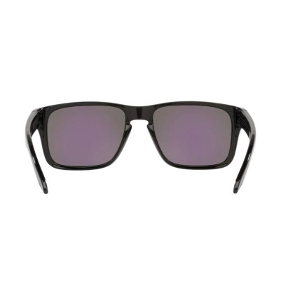 Gafas Oakley Holbrook matte...