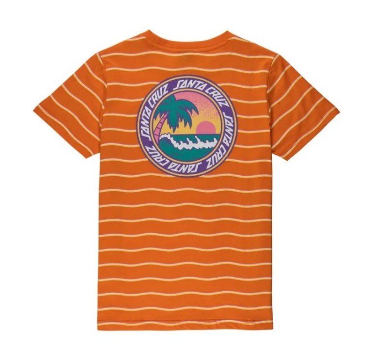 Camiseta Santa Cruz Youth...