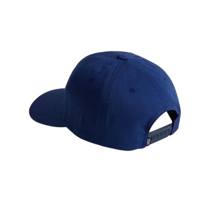 Gorra Niño Vans Drop V Logo