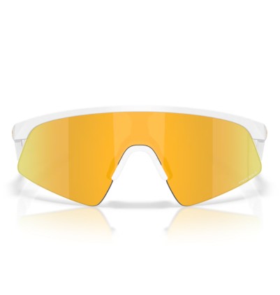 Gafas Oakley Youth Resistor...