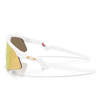 Gafas Oakley Youth Resistor...