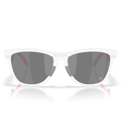 Oakley Frogskins Hybrid...