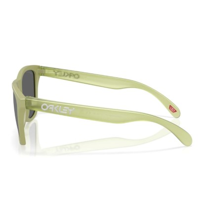 Oakley Frogskins Prizm...