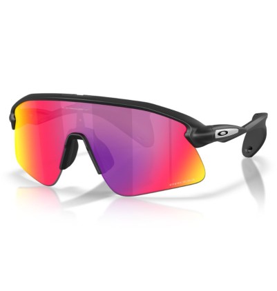 Gafas Oakley Stunt Devil...
