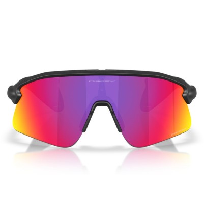 Gafas Oakley Stunt Devil...