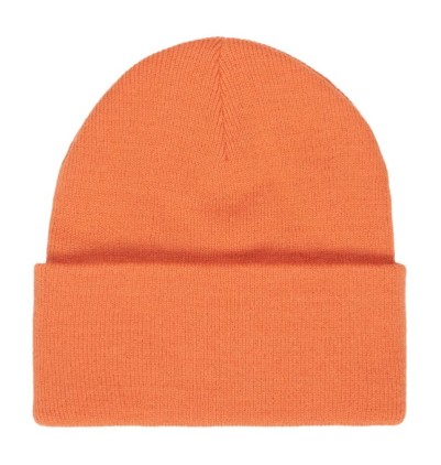 Element High Icon Beanie