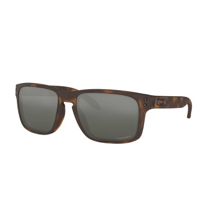 Gafas Chico Holbrook Prizm...