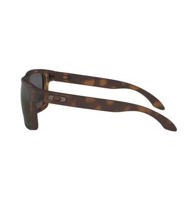 Gafas Chico Holbrook Prizm...