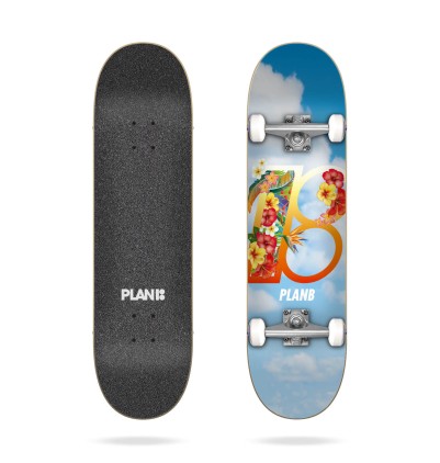 Skate Hawaii Plan B Complete