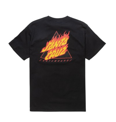 Santa Cruz Flamed Not A Dot...