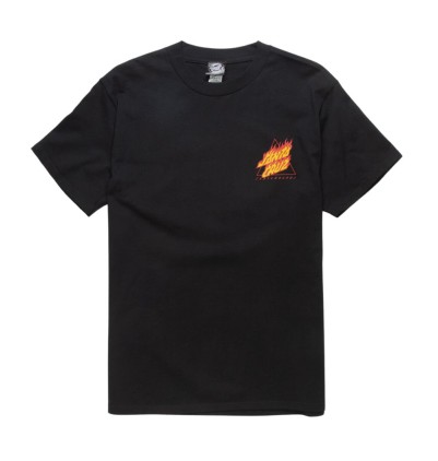 Santa Cruz Flamed Not A Dot...