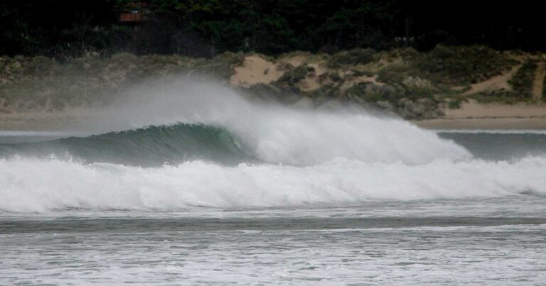 surf en somo