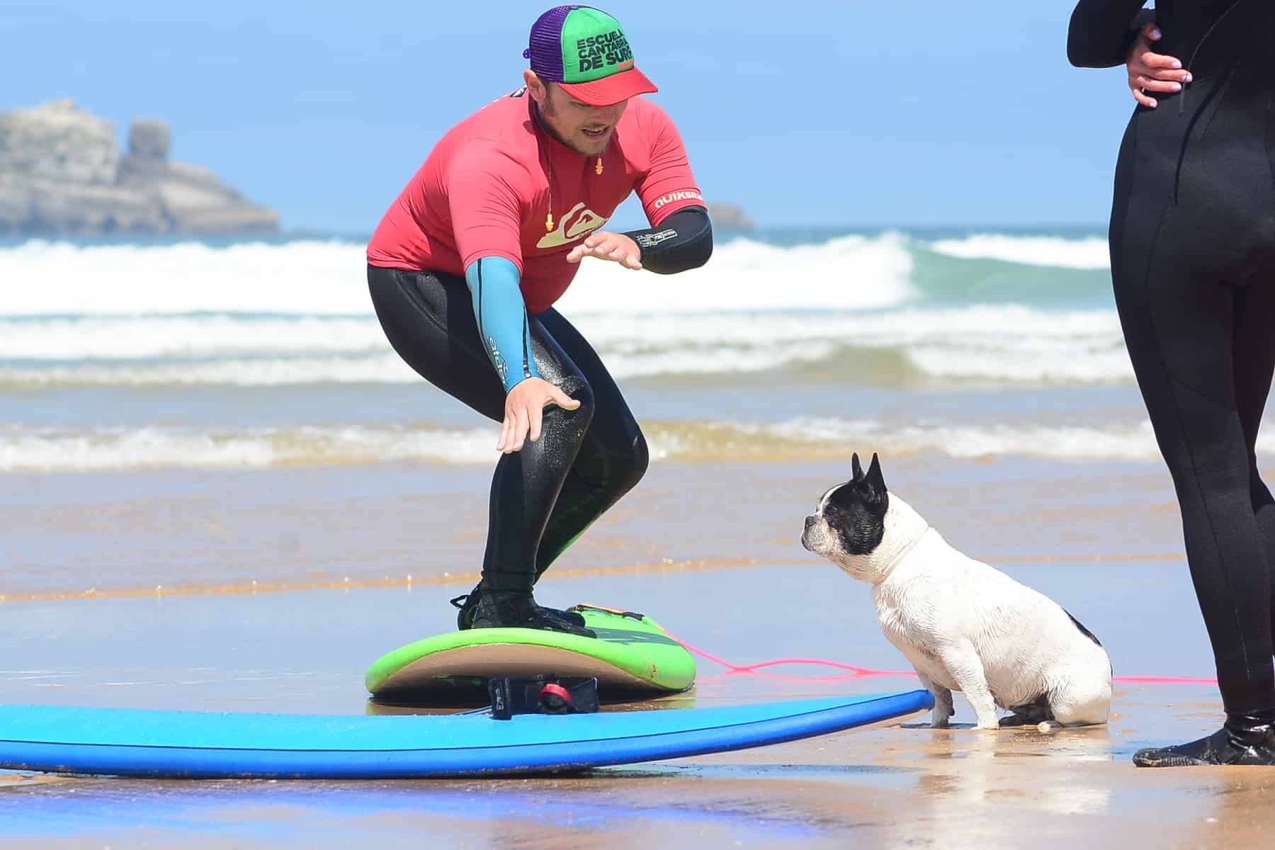 Surf dog