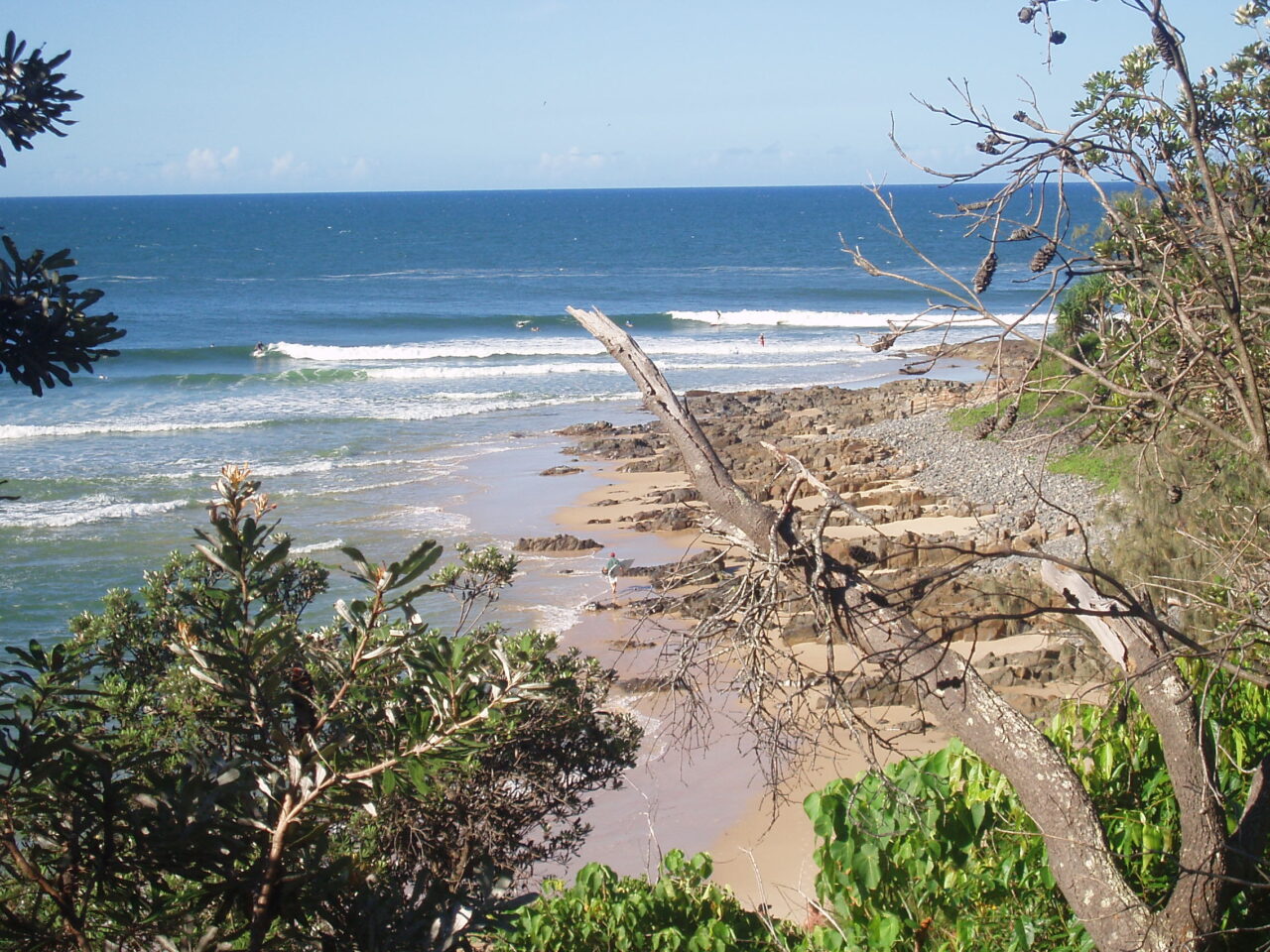 Noosa Surf