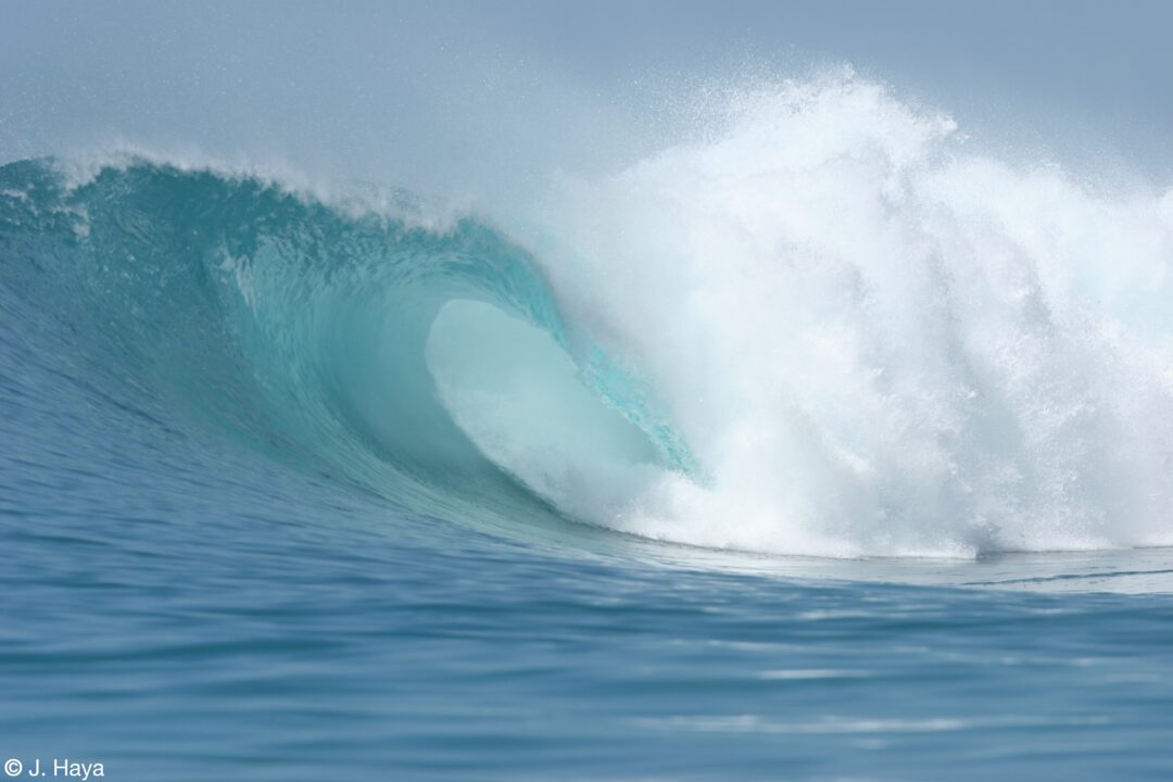 Surf Indonesia